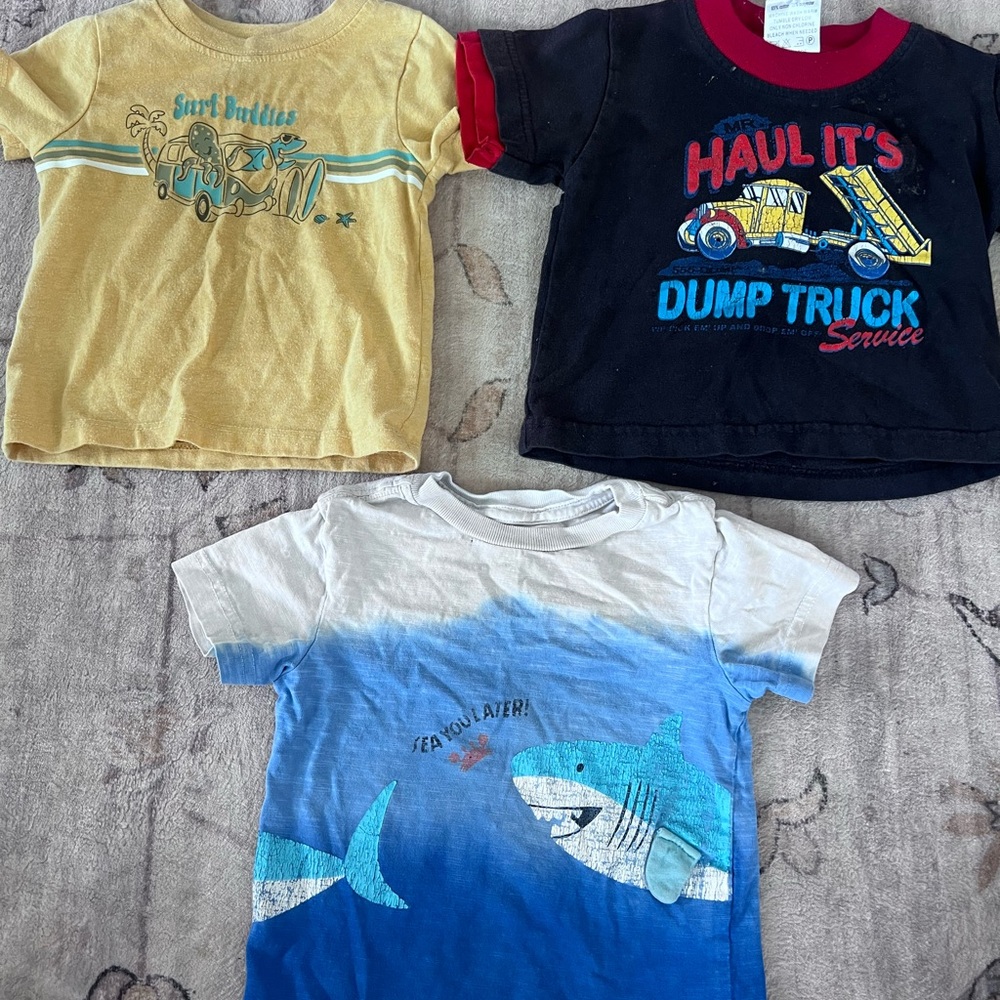 12 month T-shirt trio